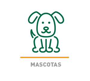 Mascotas