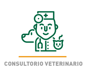 Veterinaria